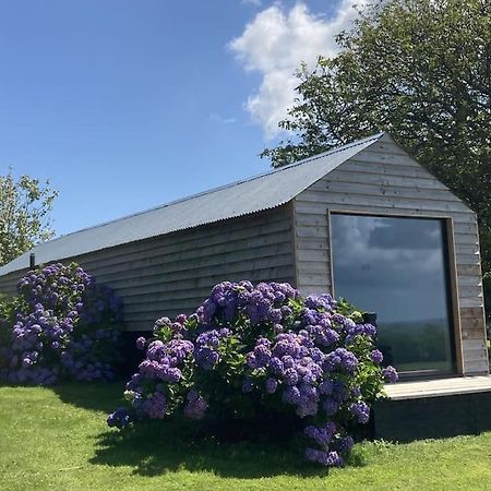 The Cabin At Barnstormers, Luxury Woodland Setting Marldon Extérieur photo