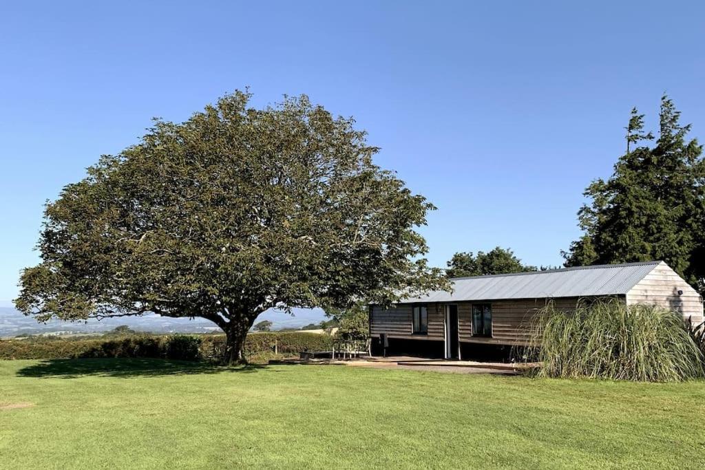 The Cabin At Barnstormers, Luxury Woodland Setting Marldon Extérieur photo